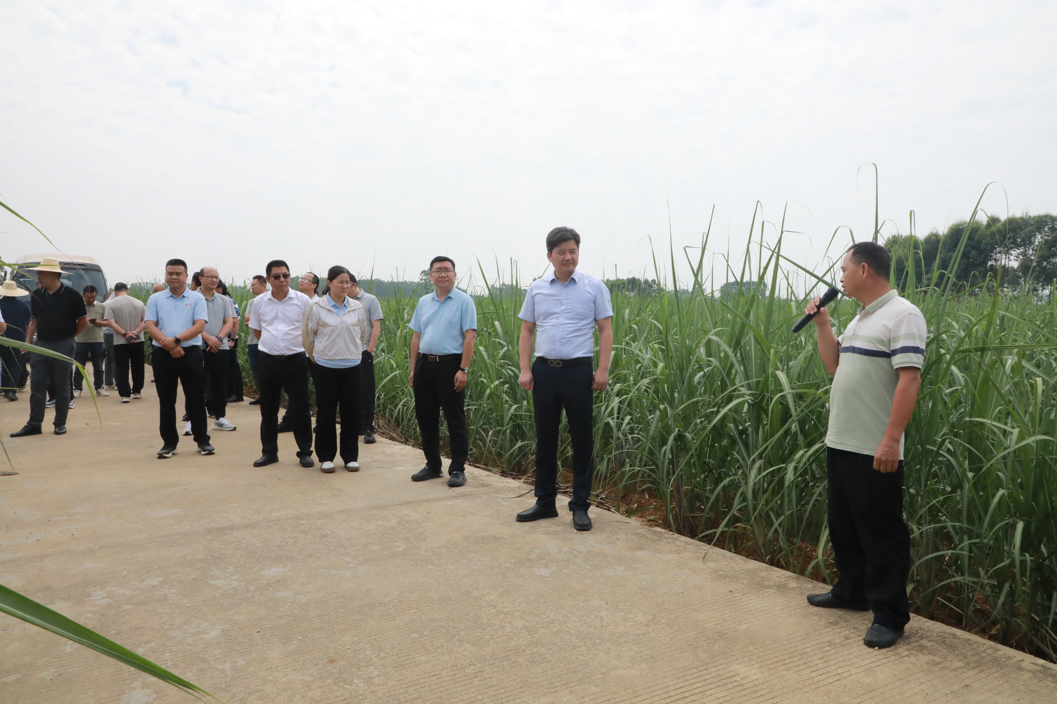 西江农场公司开展2026年甘蔗生产检查评比活动